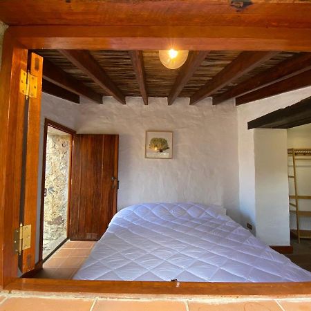 Casa Rural El Drago Konuk evi Moya  Dış mekan fotoğraf