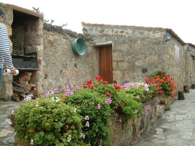 Casa Rural El Drago Konuk evi Moya  Dış mekan fotoğraf