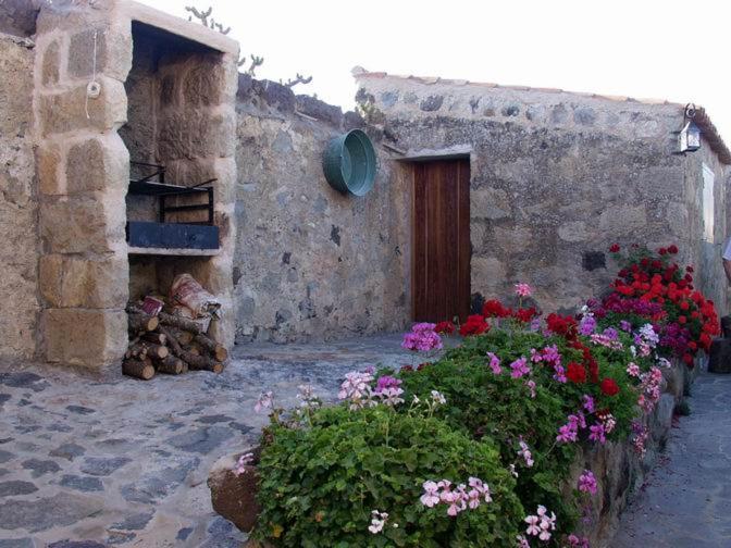 Casa Rural El Drago Konuk evi Moya  Dış mekan fotoğraf