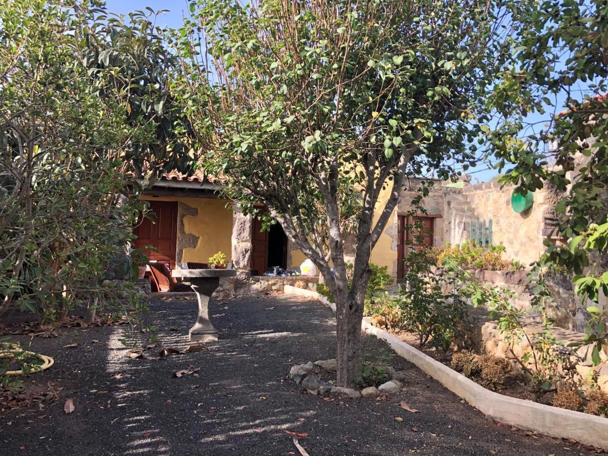 Casa Rural El Drago Konuk evi Moya  Dış mekan fotoğraf