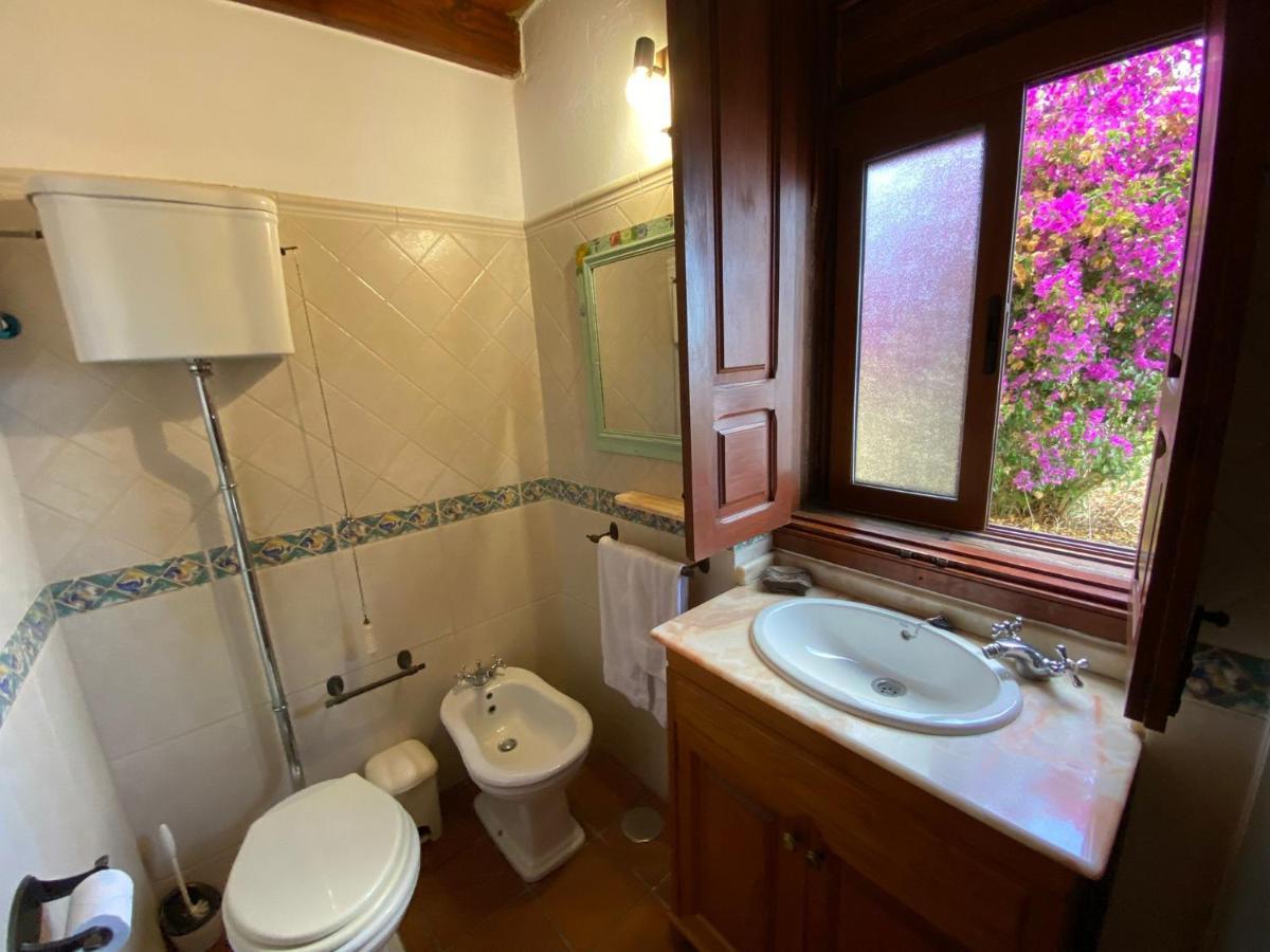 Casa Rural El Drago Konuk evi Moya  Dış mekan fotoğraf